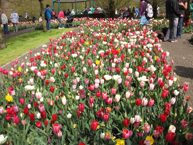 Amsterdam-Keukenhof-Brussel-Maastricht
